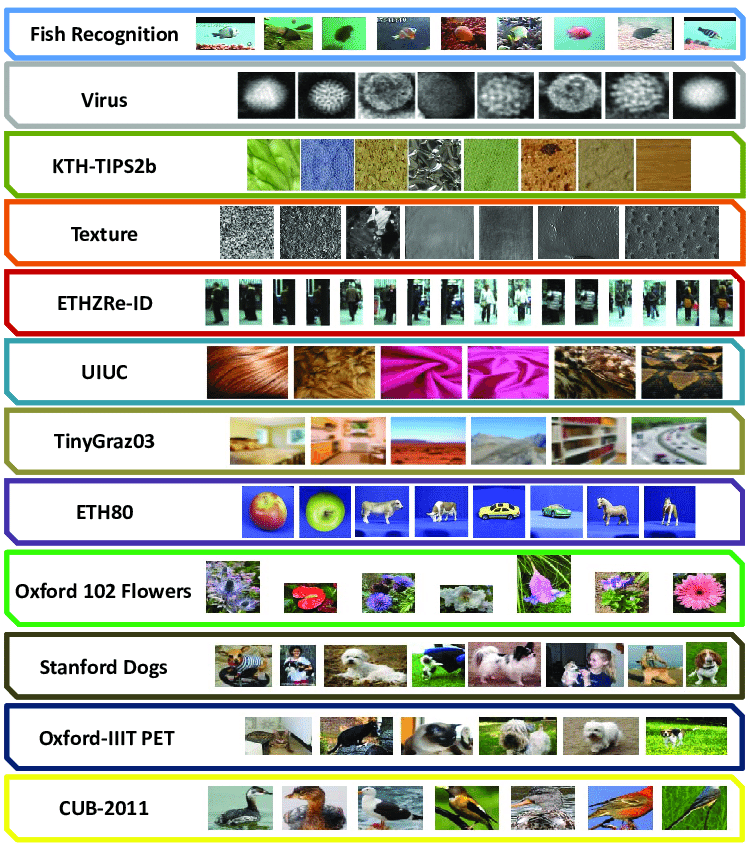 4.2. The Image Classification Dataset